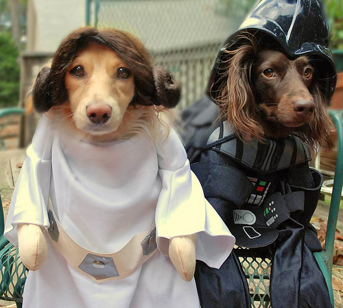 Leia Dog and Vader Dog